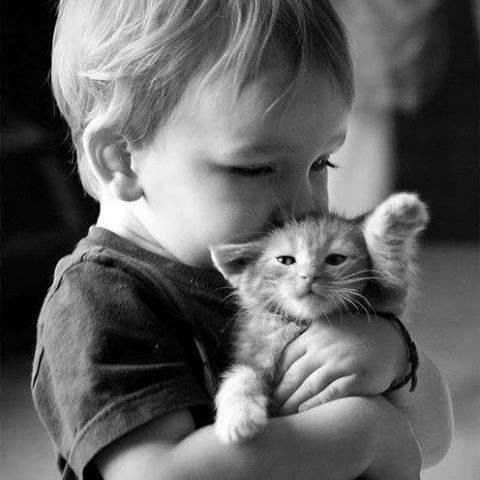 ღ҉s҉w҉e҉҉et҉ღ ∞ †