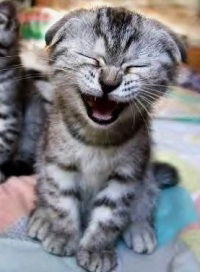 Ирина Репченко