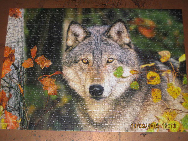 Ольга Дудник