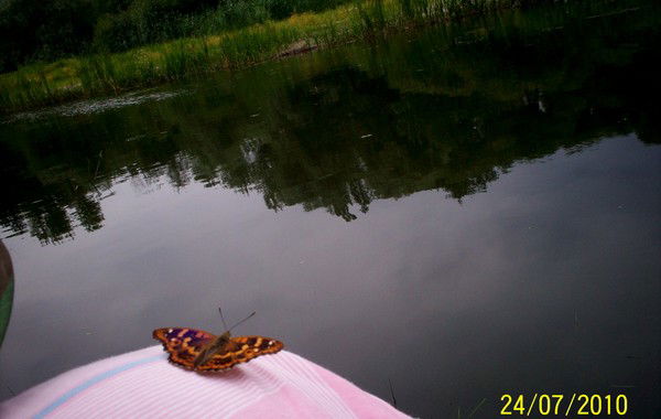 Александр Керносенко