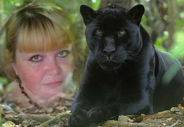 Елена Солдатова