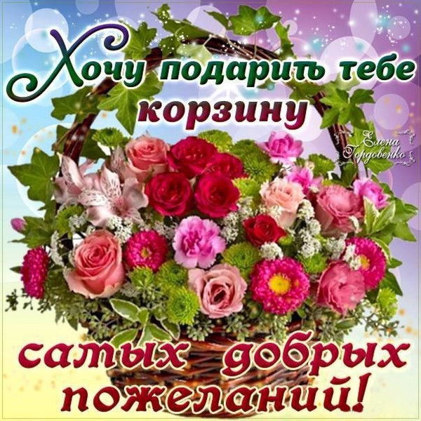 Марина Кондра