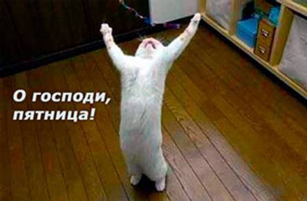 Дмитрий Гарипов