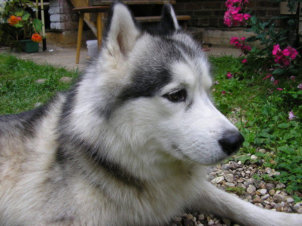 Олег Тимохин