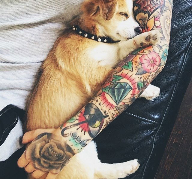 Kath|Awake And Alive|