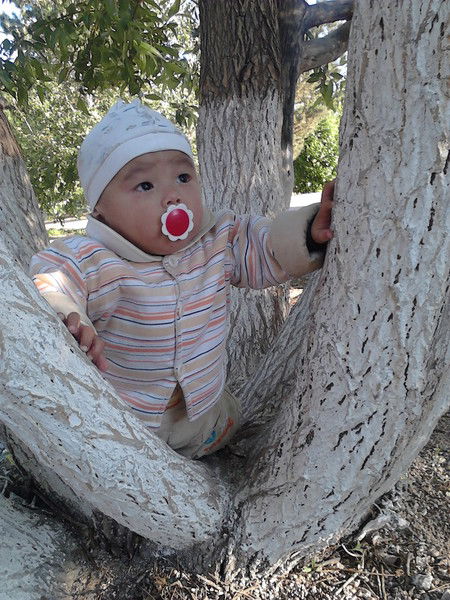 Рысты Утеулина