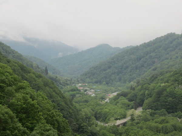 Елена Букина