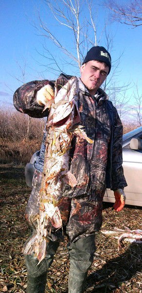 Серега ........