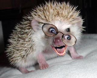 Катерина В.