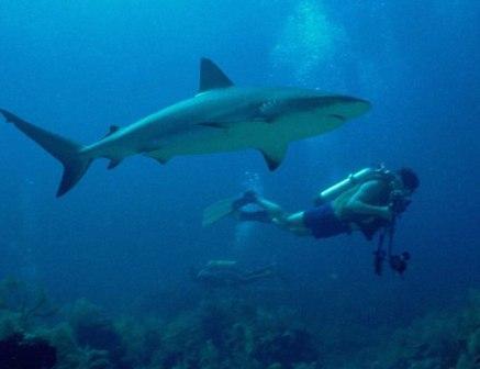 Cергей Хвесько