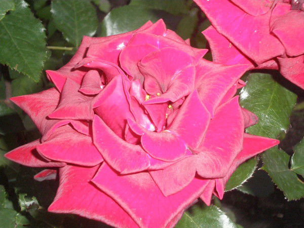 Виктория Боишко