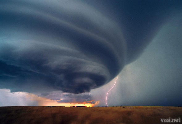 Наташа Коваленко