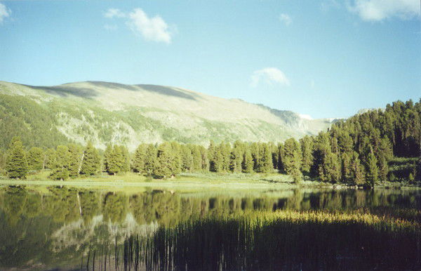 Алексей Егоров