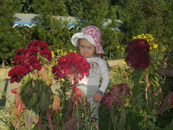 Меруерт Саттарова