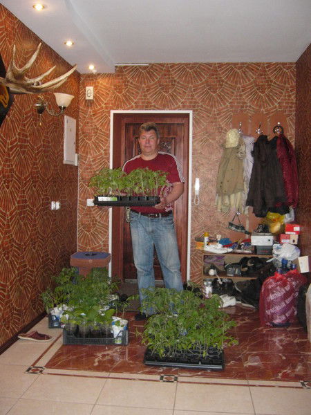 Евгений Заикин