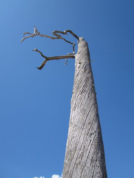 Рэм Сидоров