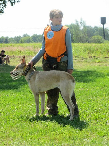 Криська Такая