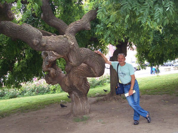 Виктор Колесников