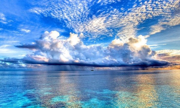 Максим Симашов