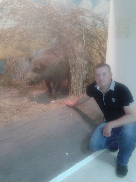 Александр Илларионов