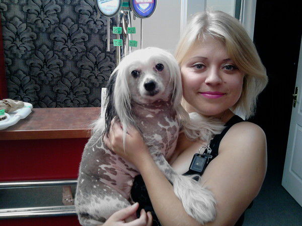 Света Борисенко