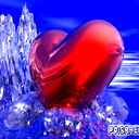 ))))Jj@ ******