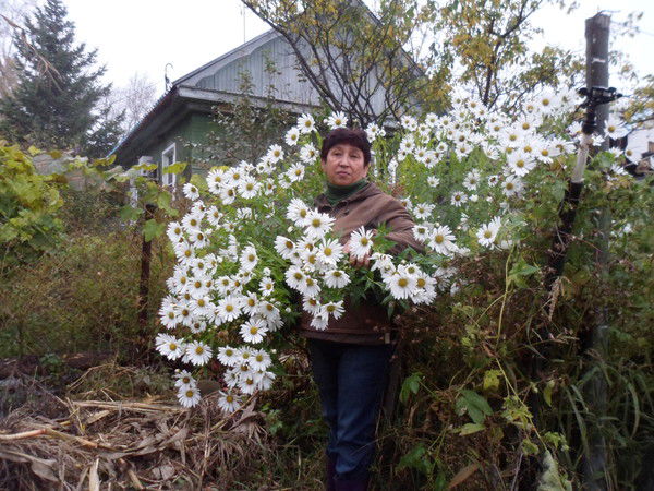 Галина Стерхова