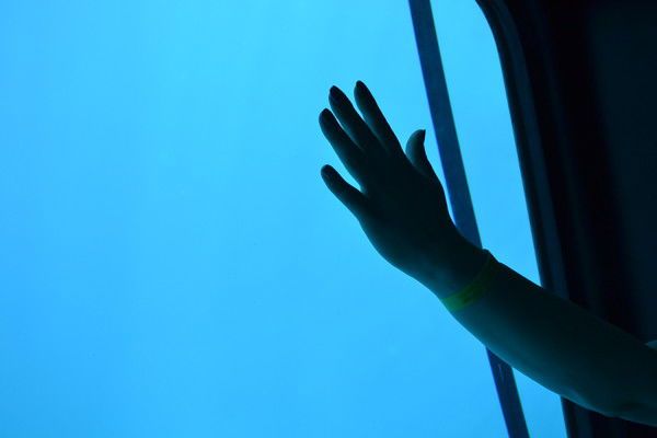 Оксана Пахомова