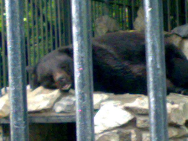 Сергей Клычков