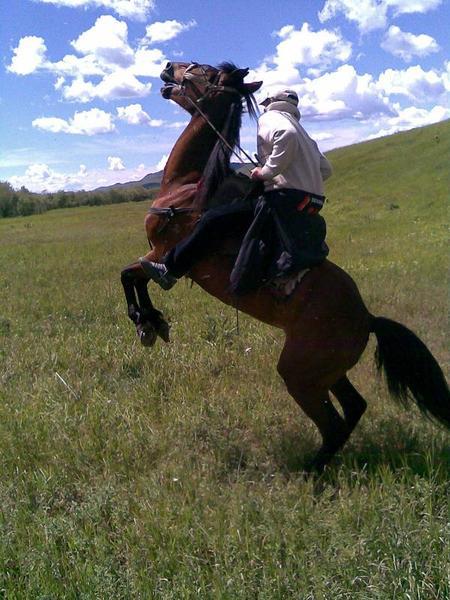 Жамбыл Исагалиев