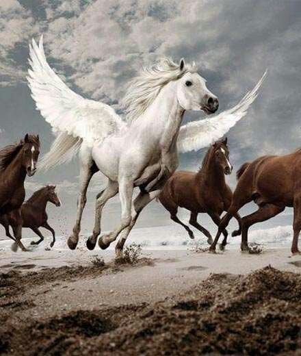 Риналь Кадермятов