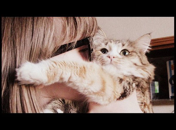 Антон Овсянников