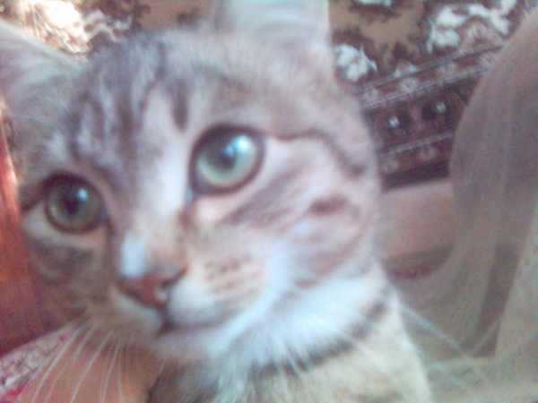 Ильдус Гайнутдинов