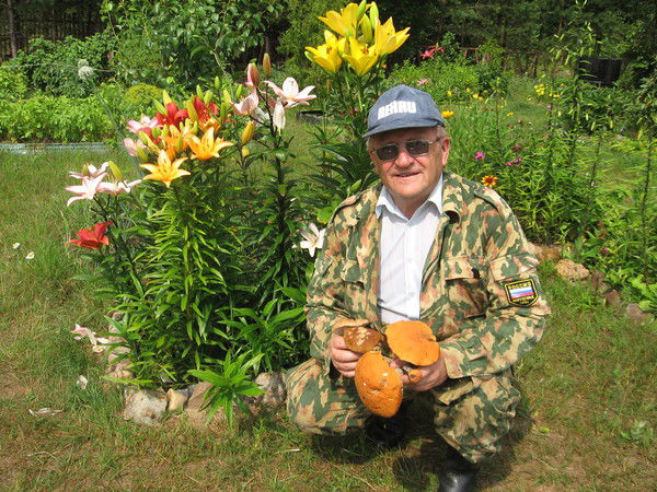 Александр Голубятников