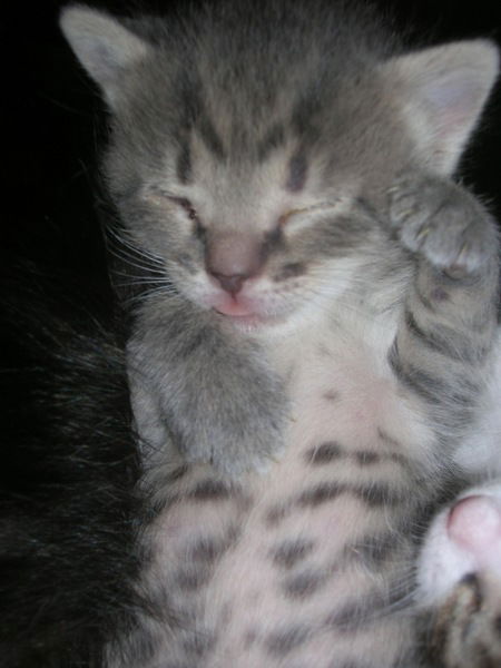 Людмила Гусева