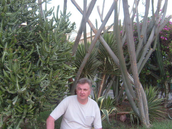 Дмитрий Мишуров