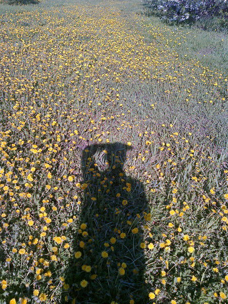 Алексей Ветошкин