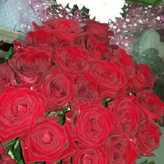 Надежда Паничева