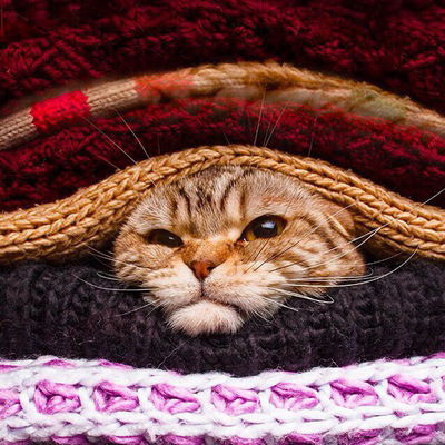 Татьяна Барышникова