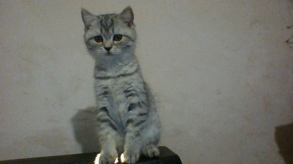 Марина Скляренко