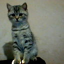 Марина Скляренко