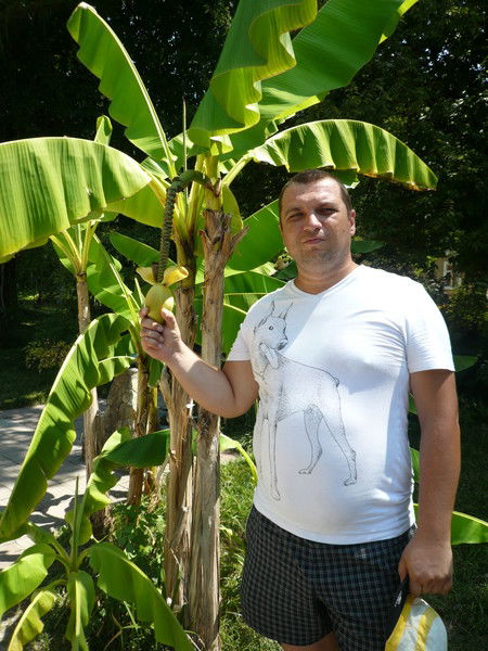 Андрей Зубков