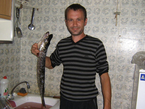 Константин Тришин