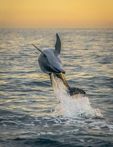 Толкын Тлебалиева