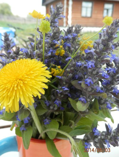 Юлия Падерина