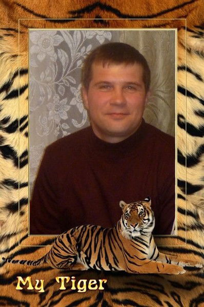 Александр Кошкин