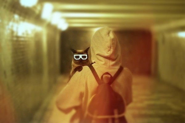 Андрей Орлов