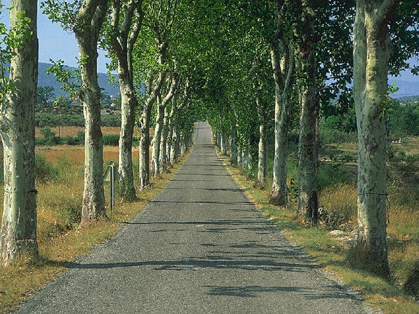 Ляззат Багеева