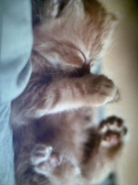 Александр Островский