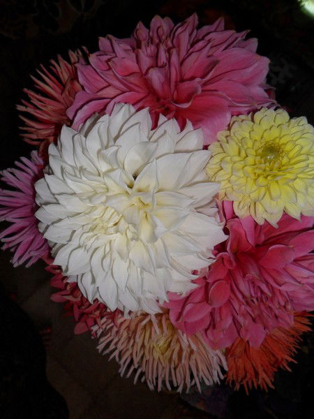 Ольга Беккер